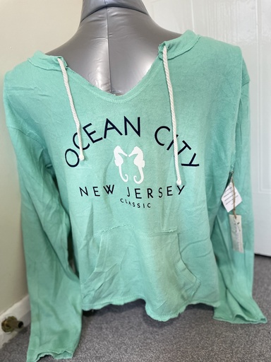 Sky blue sweatshirt